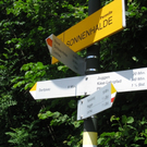 Gästeehrungen in Eichenberg