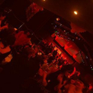 1302173.jpg