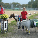 Mehrerau 2009 251.jpg