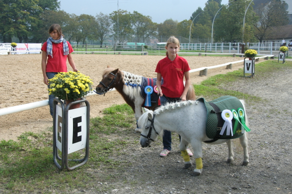 Mehrerau 2009 251.jpg