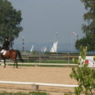 Mehrerau 2009 286.jpg