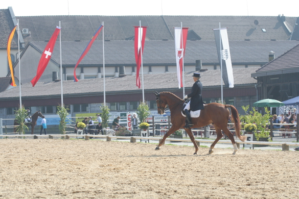 Mehrerau 2009 265.jpg