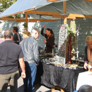 IMG_7726.JPG