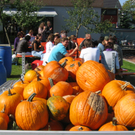 IMG_7842.JPG