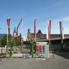 IMG_5594.JPG