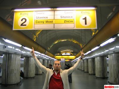 1490857.jpg