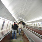1490881.jpg