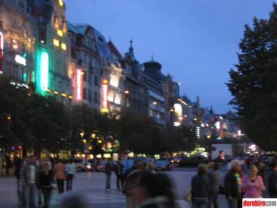 1490904.jpg