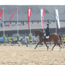 Mehrerau 2009 265.jpg