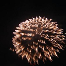 1492510.jpg