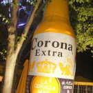 1497563.jpg