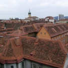 1498712.jpg