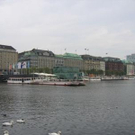 1498736.jpg