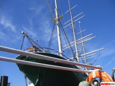 1498754.jpg