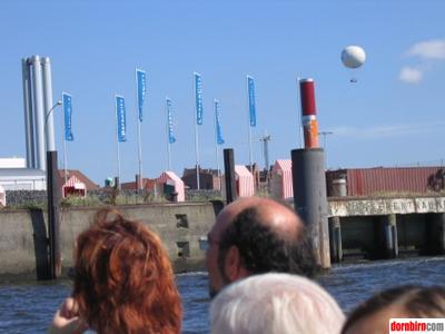 1498761.jpg