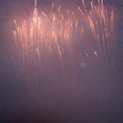 1516638.jpg