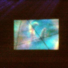 1529584.jpg
