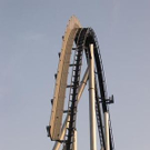 1527662.jpg
