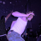 1530659.jpg