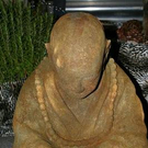 1763722.jpg