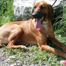 1995972.jpg