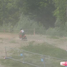 1996189.jpg
