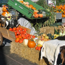 IMG_7335.JPG