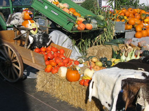 IMG_7335.JPG