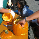 IMG_7633.JPG