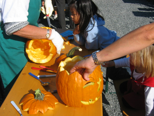 IMG_7633.JPG