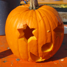 IMG_7638.JPG