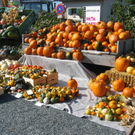 IMG_7647.JPG