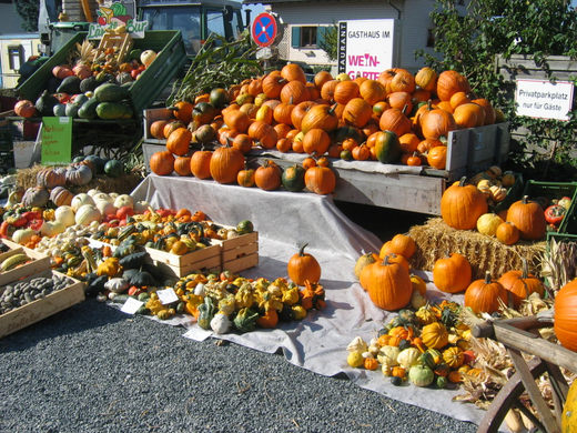 IMG_7647.JPG