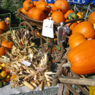 IMG_7649.JPG