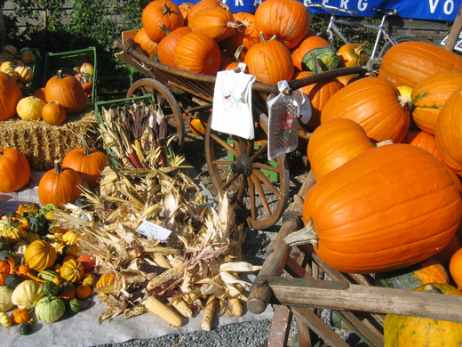 IMG_7649.JPG