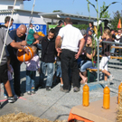 IMG_7656.JPG