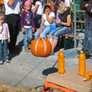 IMG_7659.JPG