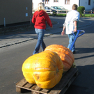 IMG_7310.JPG