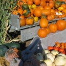 IMG_7316.JPG