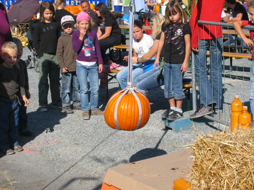 IMG_7599.JPG