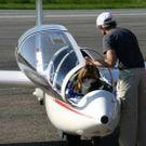 2007604.jpg