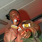 2008022.jpg