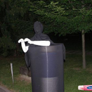 2012473.jpg