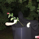 2012478.jpg