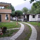 2019396.jpg