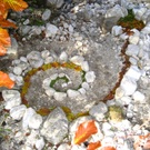 Landart