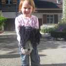 kleines kind steckenpferd.jpg