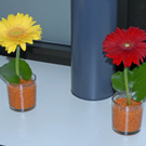 _DSC07010004.JPG