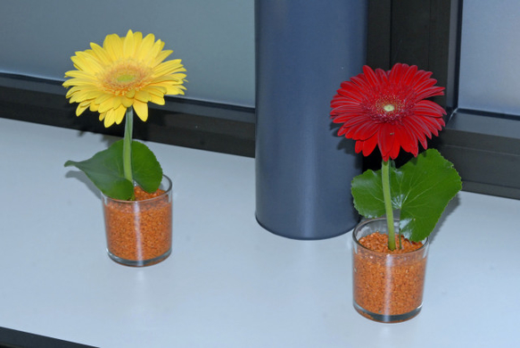 _DSC07010004.JPG