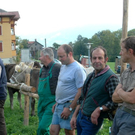 DSC_0065.jpg